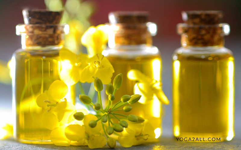 Canola oil
